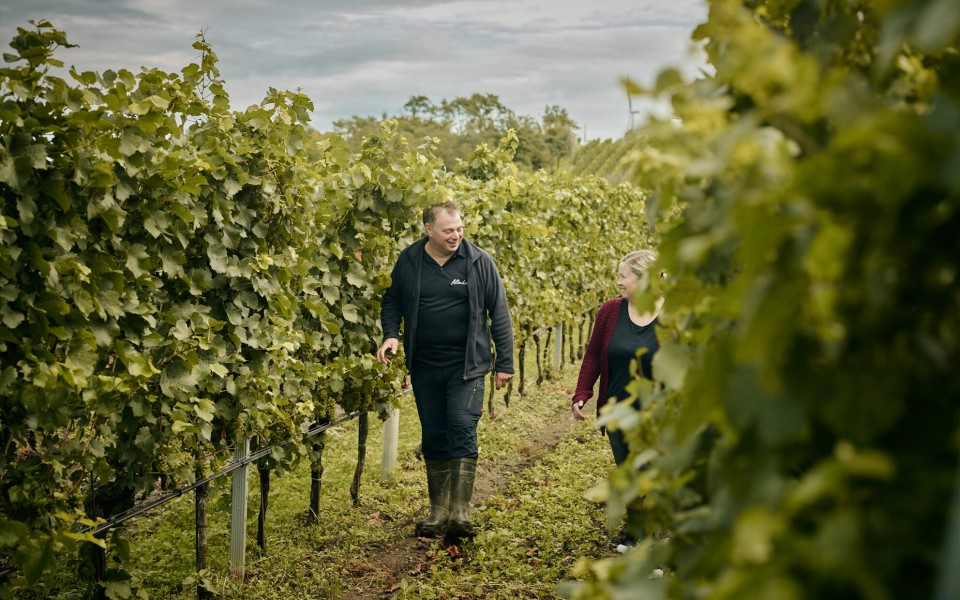 Weingut Allacher Weingut Allacher