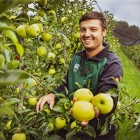 Obst und Gemüse
