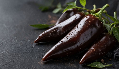 Spitzpaprika Chocolony auf einer Schiefersteinplatte
