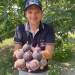 Hamdi Taner, Perlafruit