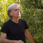 Lieferant_Massimo_Liverani_Pfirsiche