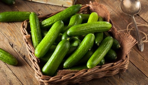 Raw Organic Mini Baby Cucumbers