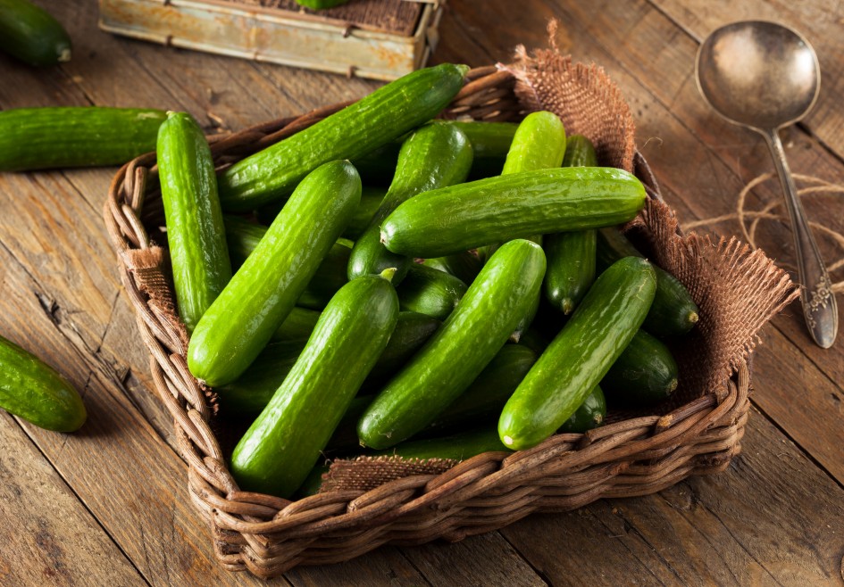 Raw Organic Mini Baby Cucumbers