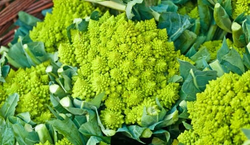 Romanesco