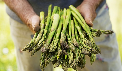 Erfahren Sie mehr über Obst und Gemüse und was aktuell in Saison ist