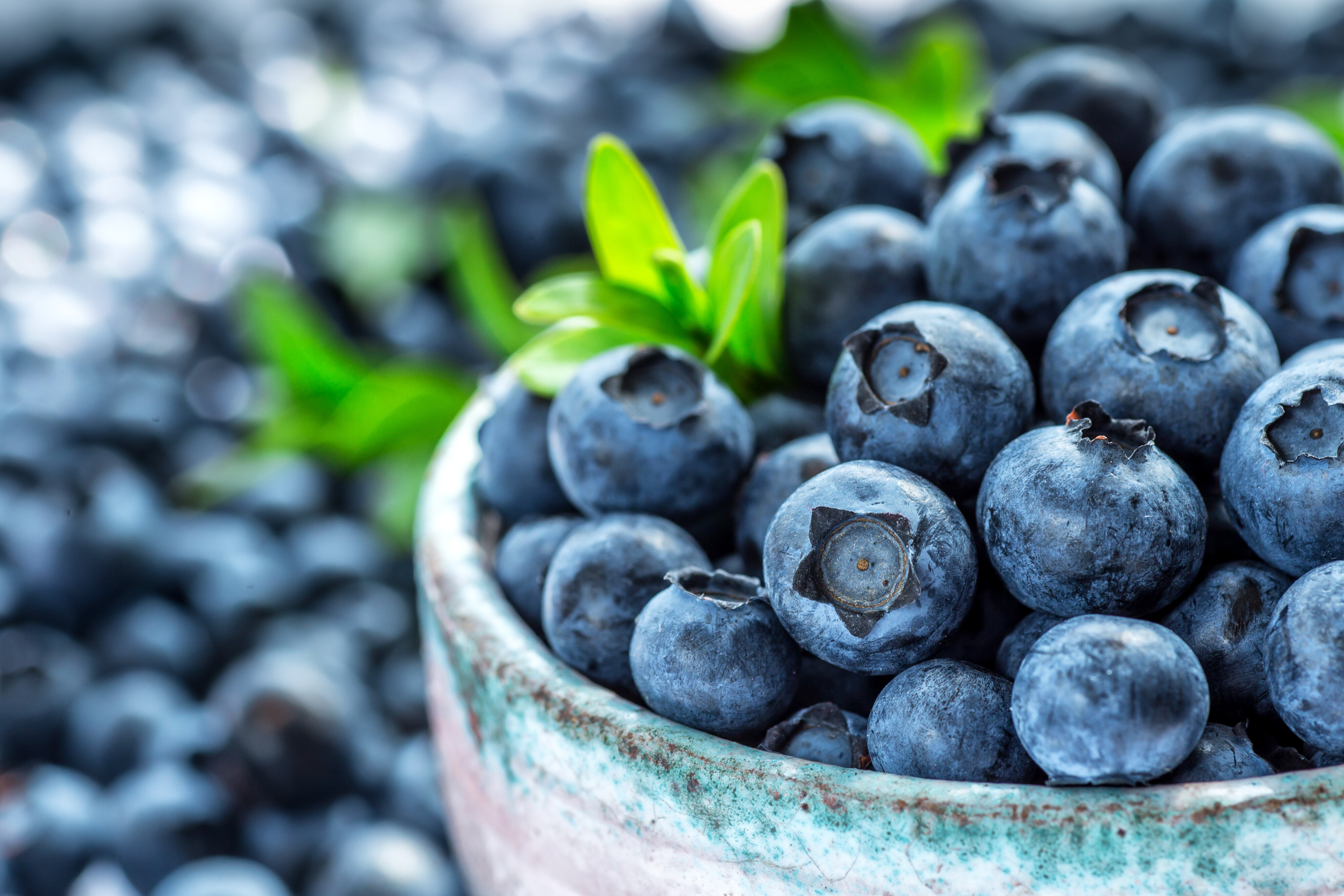 SPAR Natur*pur Bio-Heidelbeeren