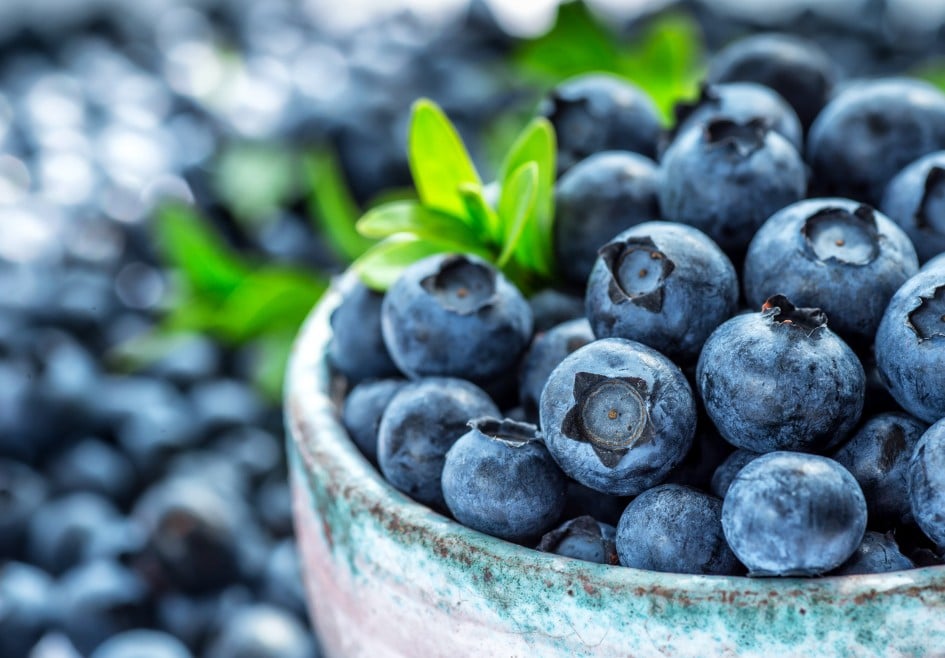Heidelbeeren
