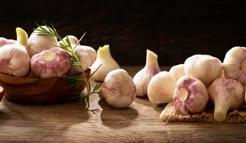 Früher Knoblauchzopf Ed. Stekovics