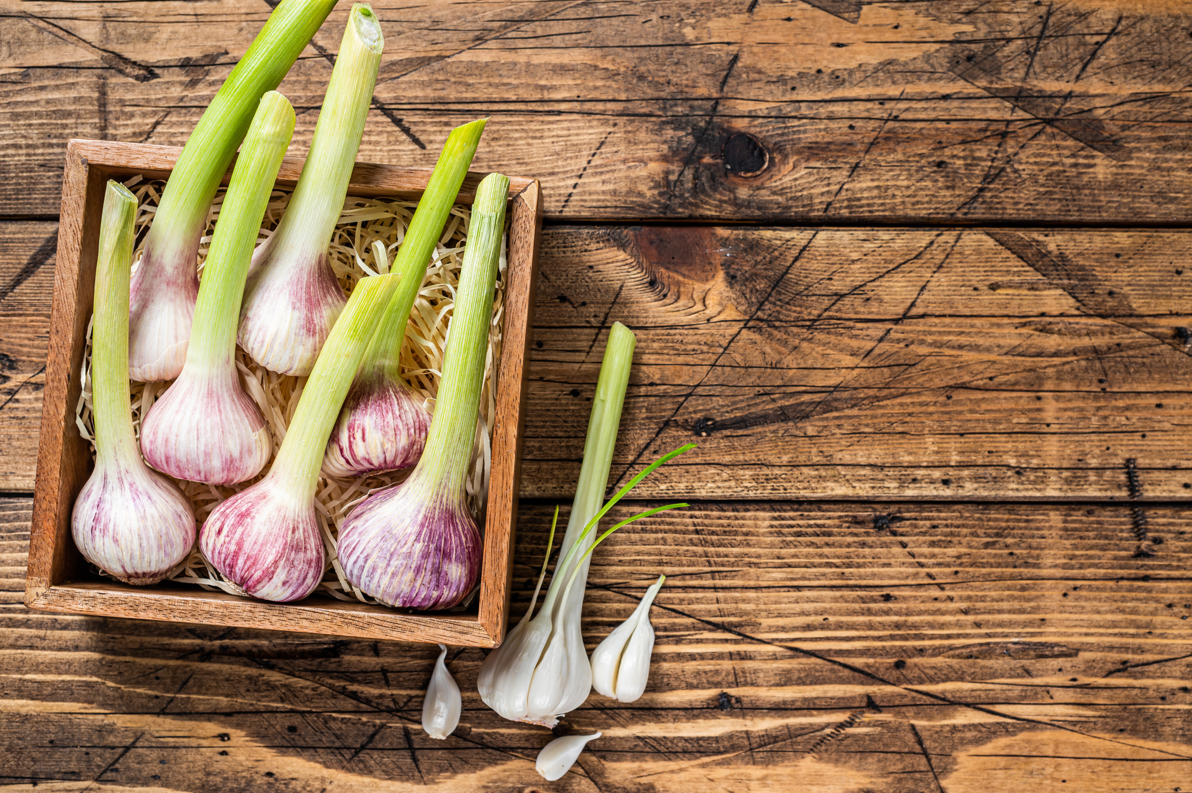 SPAR wie früher Bio-Knoblauch frisch