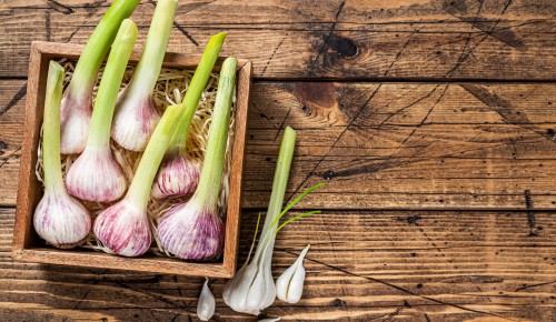 Young Spring garlic bulbs and cloves in wooden box. Wooden background. Top view. Copy space.