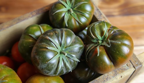 Closeup of isolated group dark black beef cabomar tomatoes in rustic wood box, brown wooden planks background