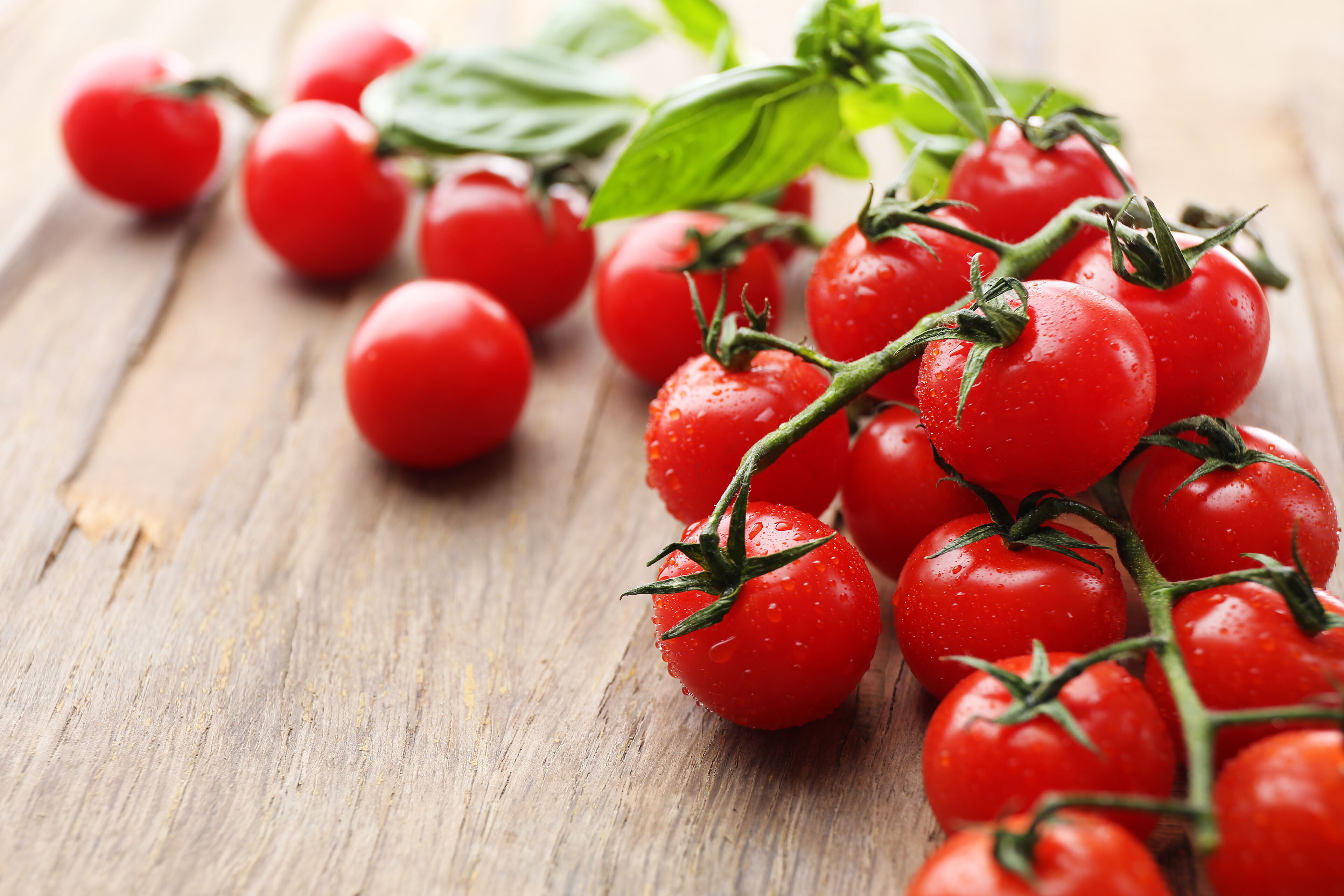 SPAR PREMIUM Blumauer Cherrytomaten