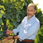 Wein
