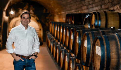 Winzer Weingut Schloss Fels