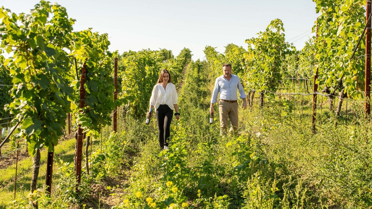 Benita Sophie geht zwischen den Weinreben