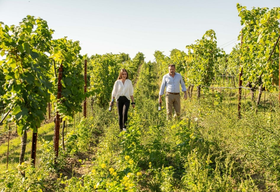 Benita Sophie geht zwischen den Weinreben