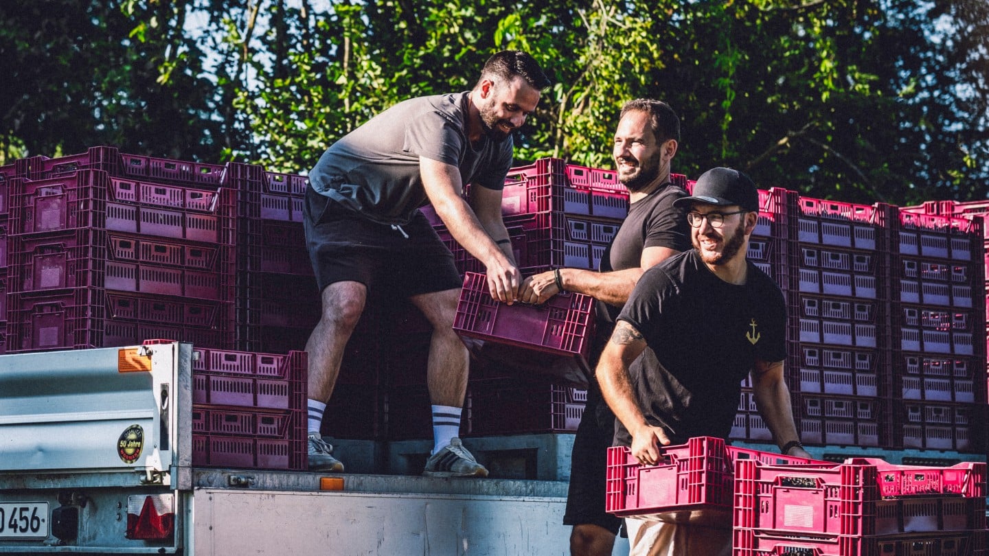 Die 3 Gründer beim Abladen der Aroniabeeren vom LKW