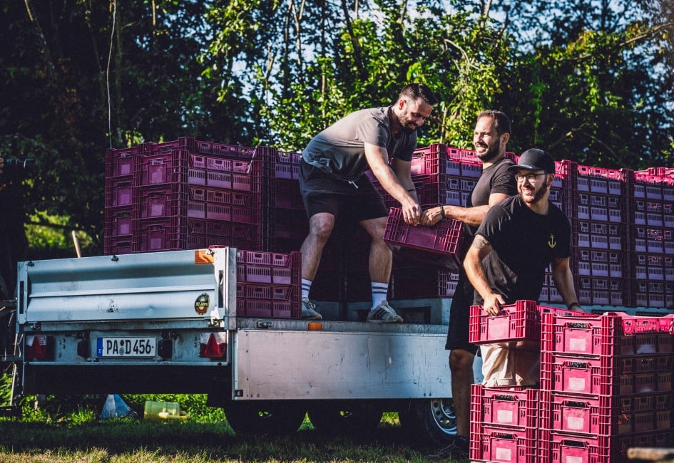 Die 3 Gründer beim Abladen der Aroniabeeren vom LKW