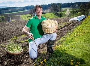 Lieferantenfoto ZN06 Kammerhof Spargel