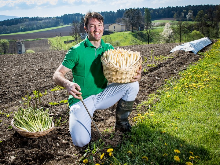 Lieferantenfoto ZN06 Kammerhof Spargel
