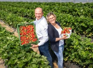 Lieferantenfoto ZN06 Kärntner Früchtewelt