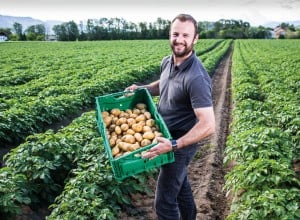Lieferantenfotom ZN06 Kärntner Kartoffeln Markut