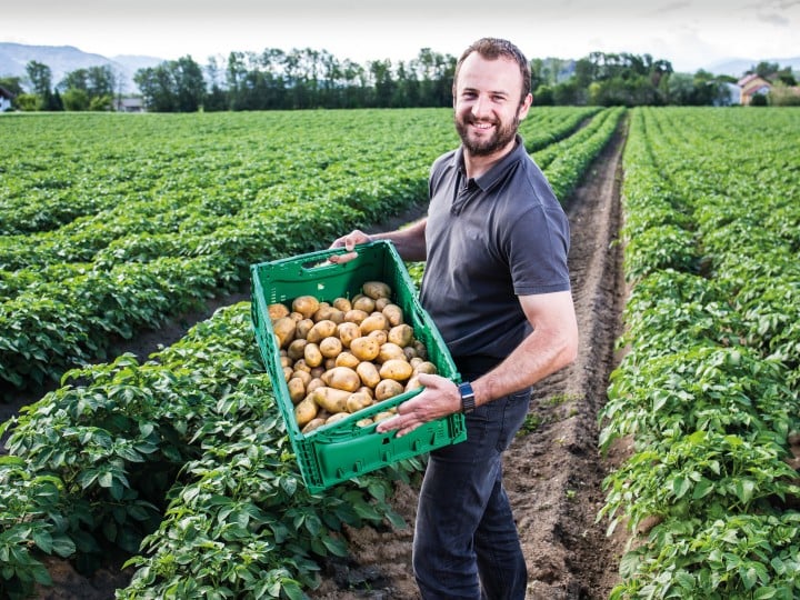 Lieferantenfotom ZN06 Kärntner Kartoffeln Markut