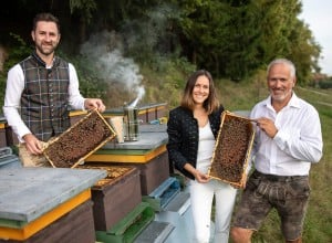 Lieferantenfoto ZN06 Kärntner Bienenhonig - Gebrüder Sturm