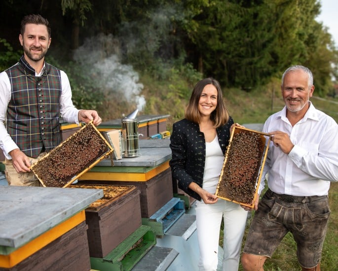Lieferantenfoto ZN06 Kärntner Bienenhonig - Gebrüder Sturm