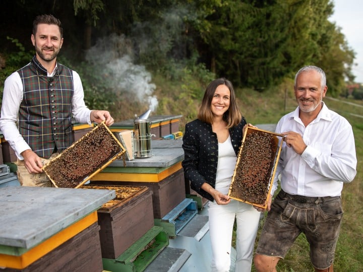 Lieferantenfoto ZN06 Kärntner Bienenhonig - Gebrüder Sturm