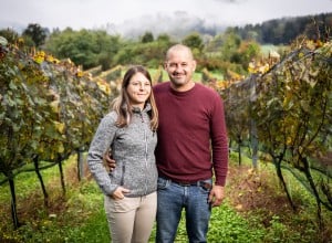 Lieferantenfotom ZN06 Weingut Maltschnig